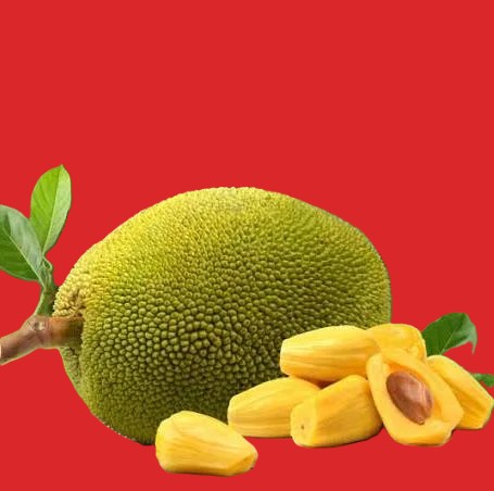Jackfruit