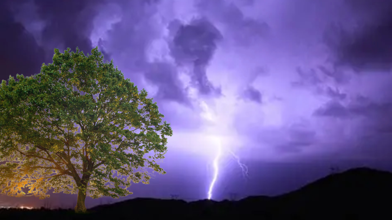 শালবনিতে বজ্রপাতে মৃত্যু